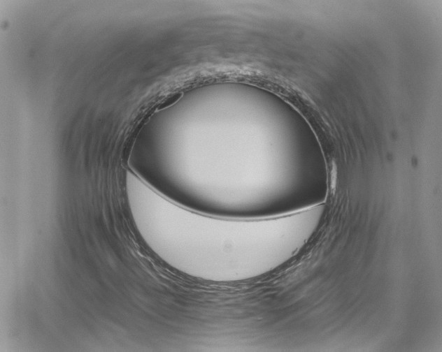X0000066961492200603241155