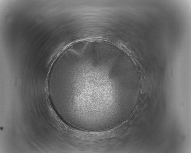 X0000066960002200603271245