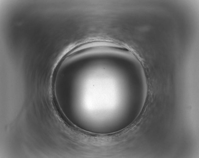 X0000066960008200603271245