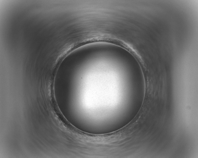 X0000066960010200603271245