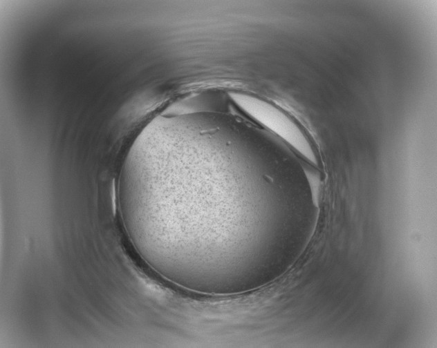X0000066960013200603271245