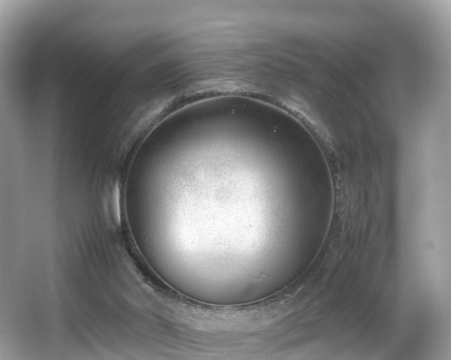 X0000066960014200603271245