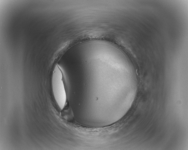 X0000066960019200603271245