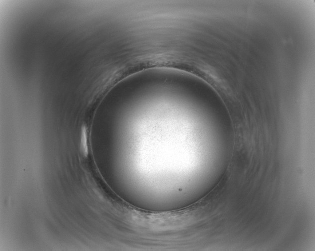 X0000066960022200603271245