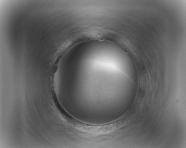 X0000066960023200603271245