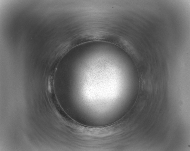 X0000066960026200603271245