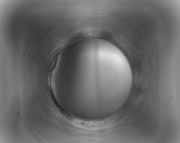X0000066960027200603271245