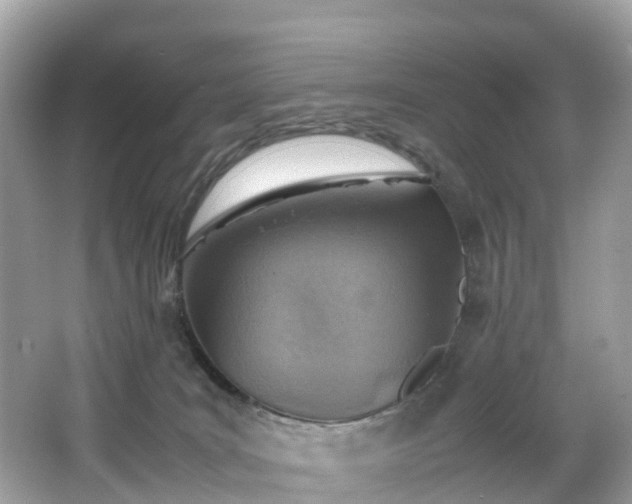 X0000066960035200603271244