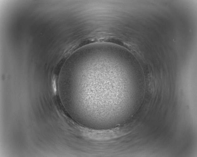 X0000066960042200603271244