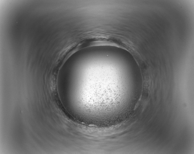 X0000066960043200603271244