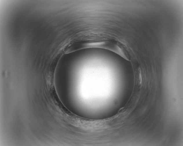 X0000066960044200603271244