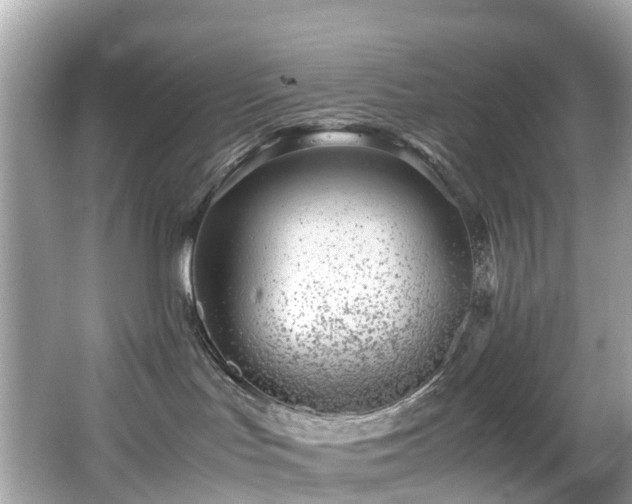 X0000066960047200603271244
