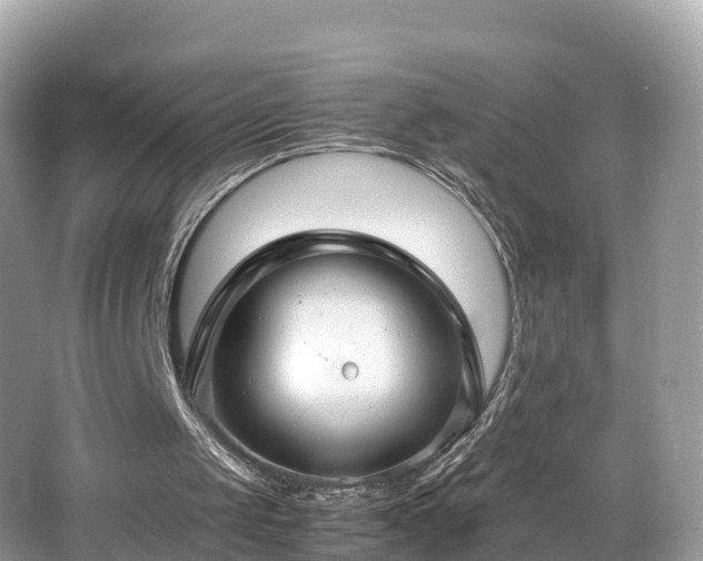X0000066960049200603271243