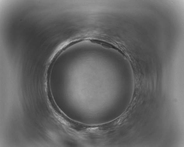 X0000066960054200603271243