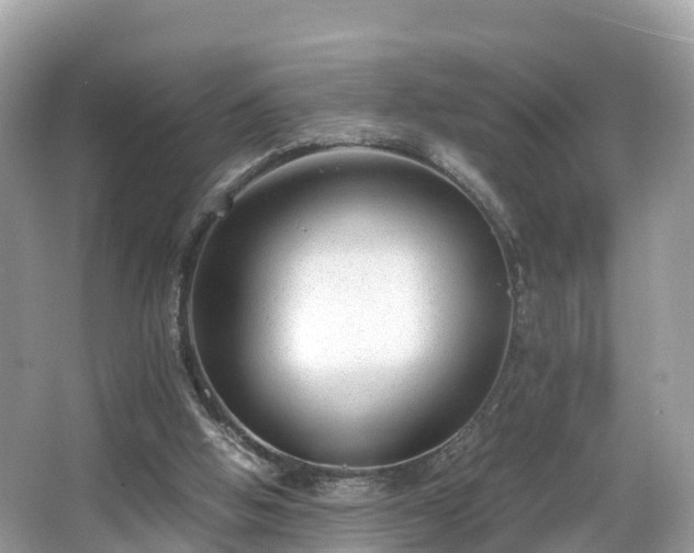 X0000066960058200603271244
