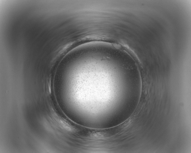 X0000066960062200603271244