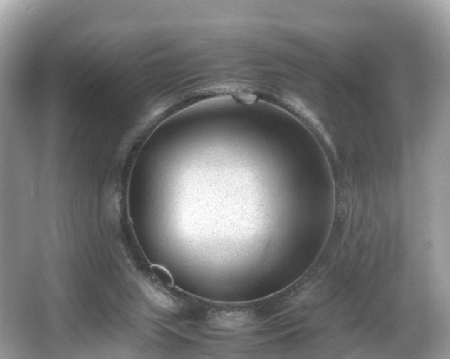 X0000066960063200603271244