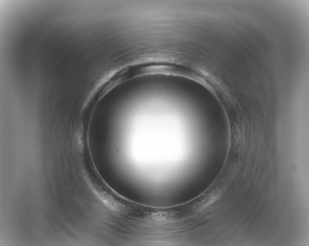 X0000066960064200603271244