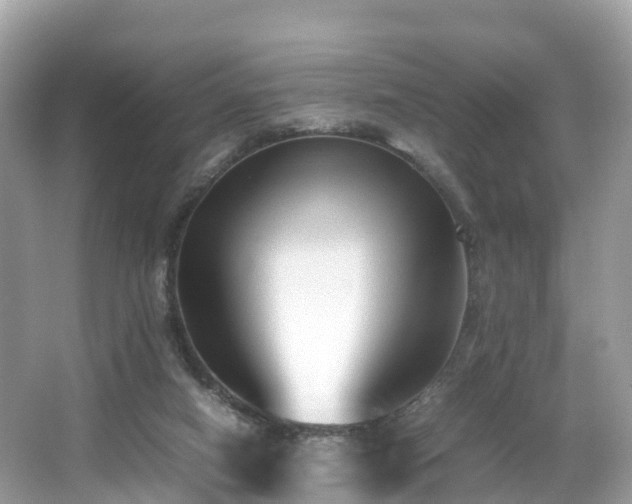 X0000066960066200603271244