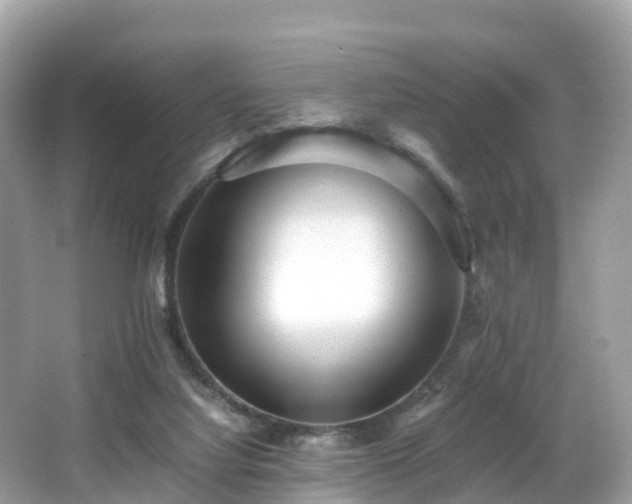 X0000066960068200603271244