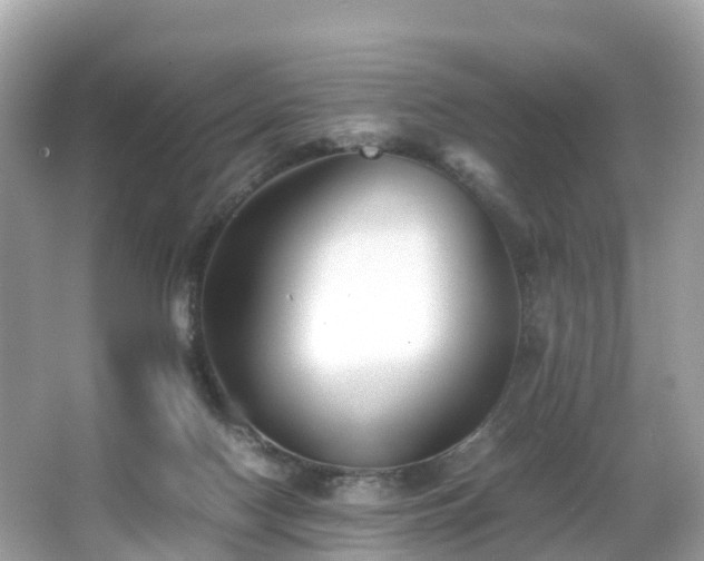 X0000066960074200603271244