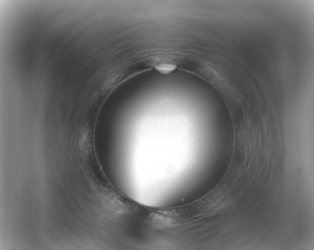 X0000066960079200603271244