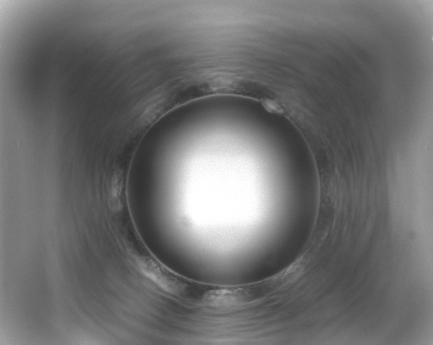 X0000066960082200603271244