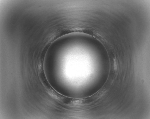 X0000066960084200603271244