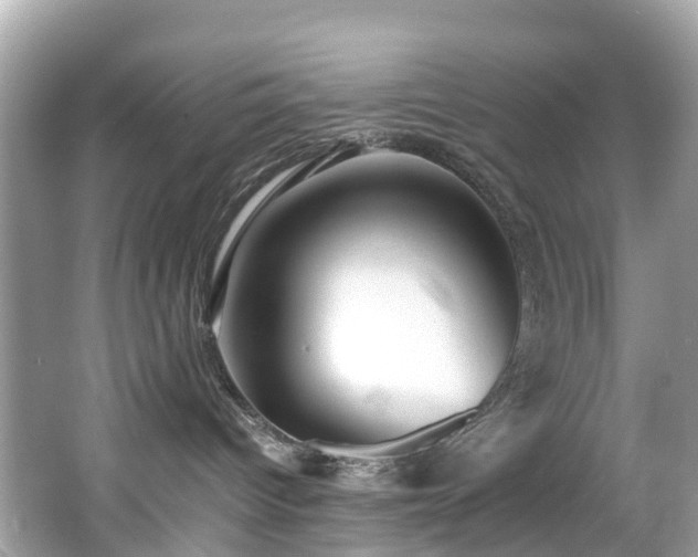 X0000066960096200603271244