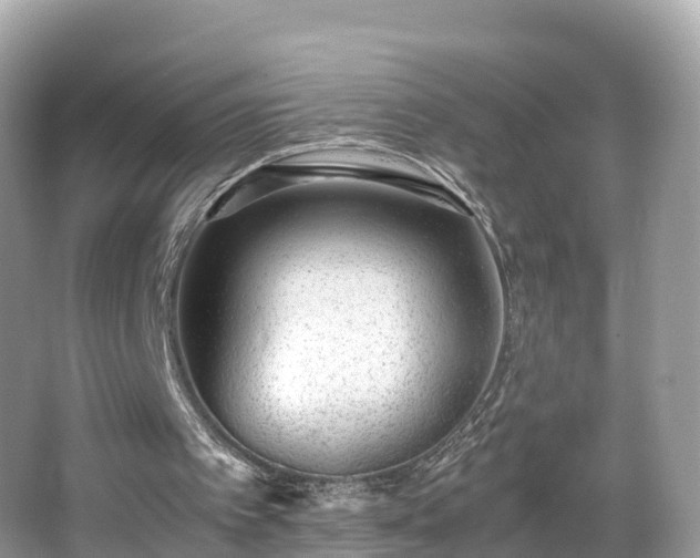 X0000066960097200603271243