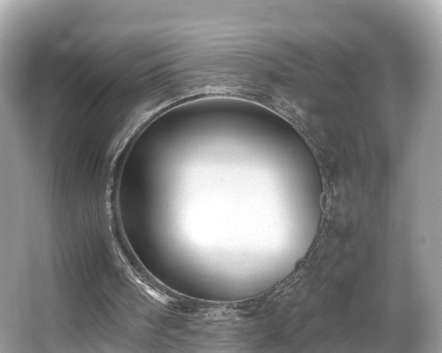 X0000066960098200603271243