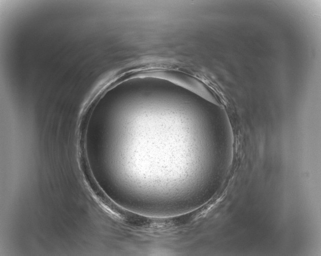 X0000066960101200603271243