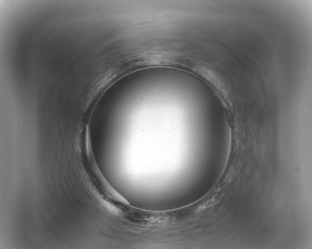 X0000066960105200603271243