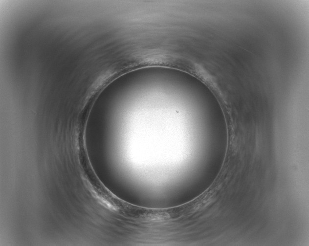 X0000066960106200603271243