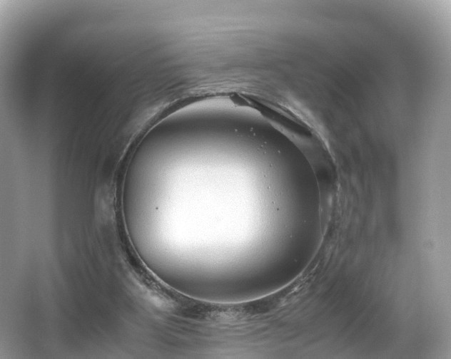 X0000066960107200603271243