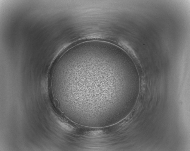 X0000066960108200603271243