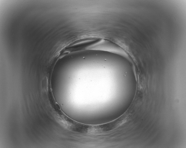 X0000066960109200603271243