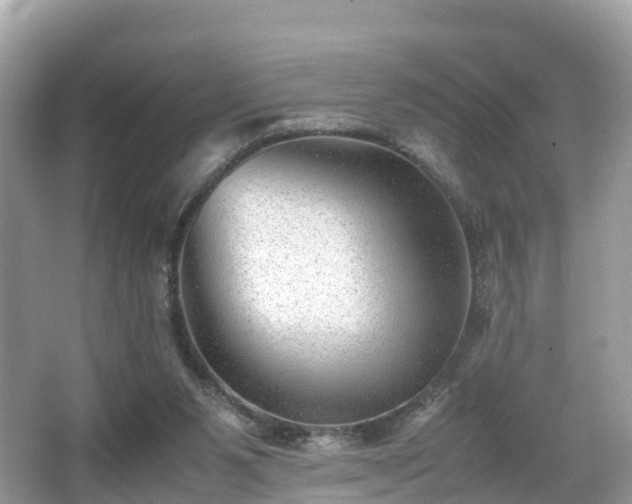 X0000066960111200603271243