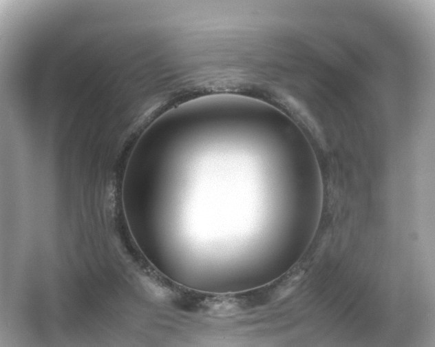X0000066960113200603271243