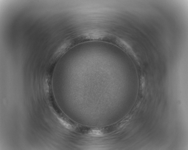 X0000066960114200603271243