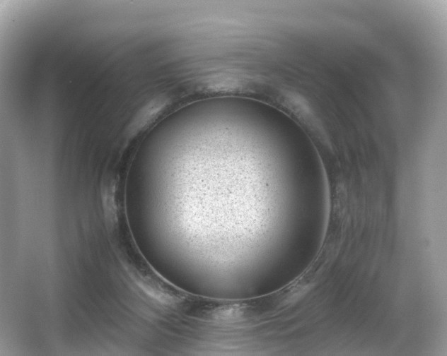 X0000066960116200603271243