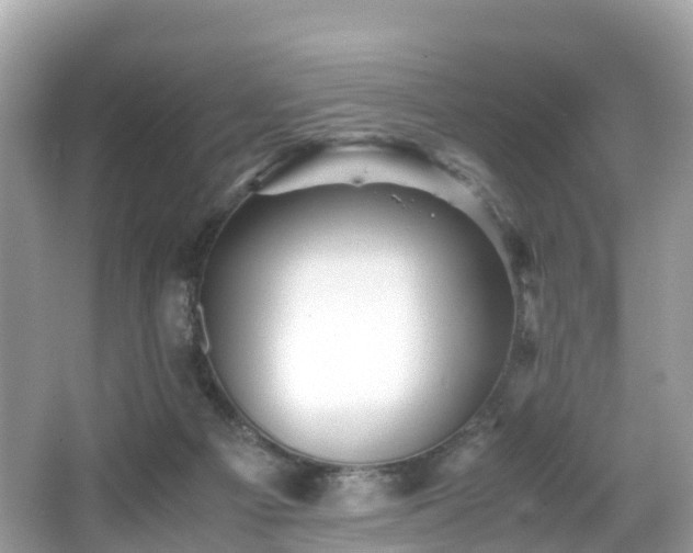 X0000066960121200603271243