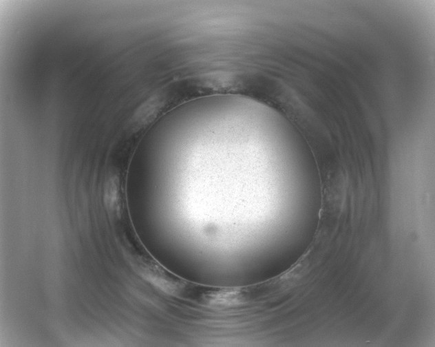 X0000066960132200603271243