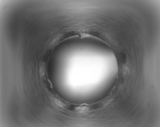 X0000066960133200603271243