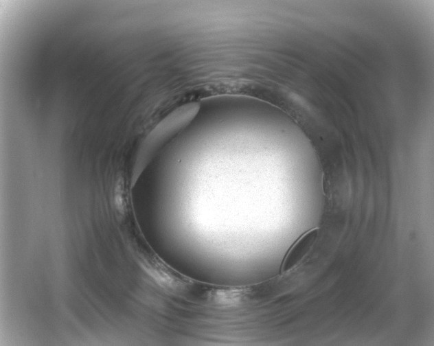 X0000066960134200603271243