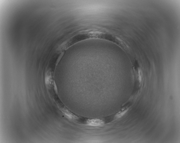 X0000066960137200603271243