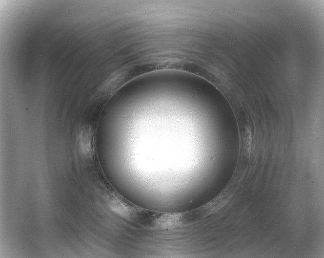 X0000066960138200603271243