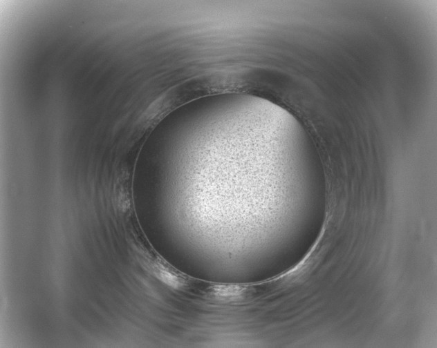 X0000066960144200603271243