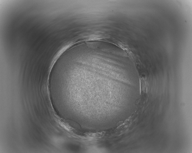 X0000066960147200603271242