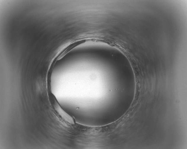 X0000066960148200603271242